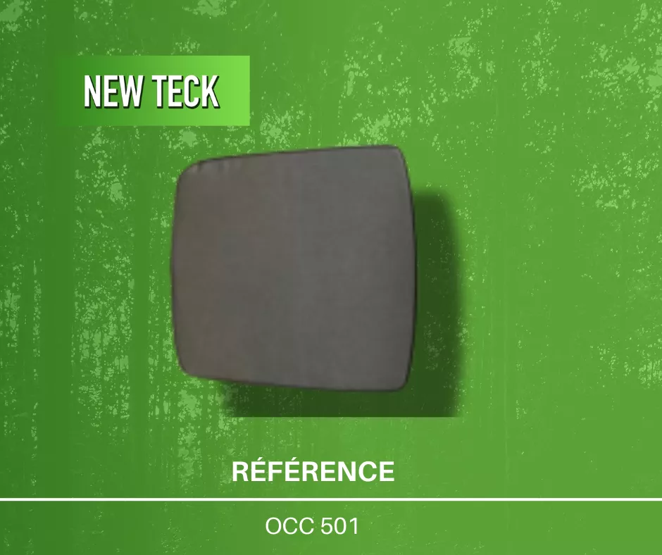 Coussin pour lit extérieur en teck